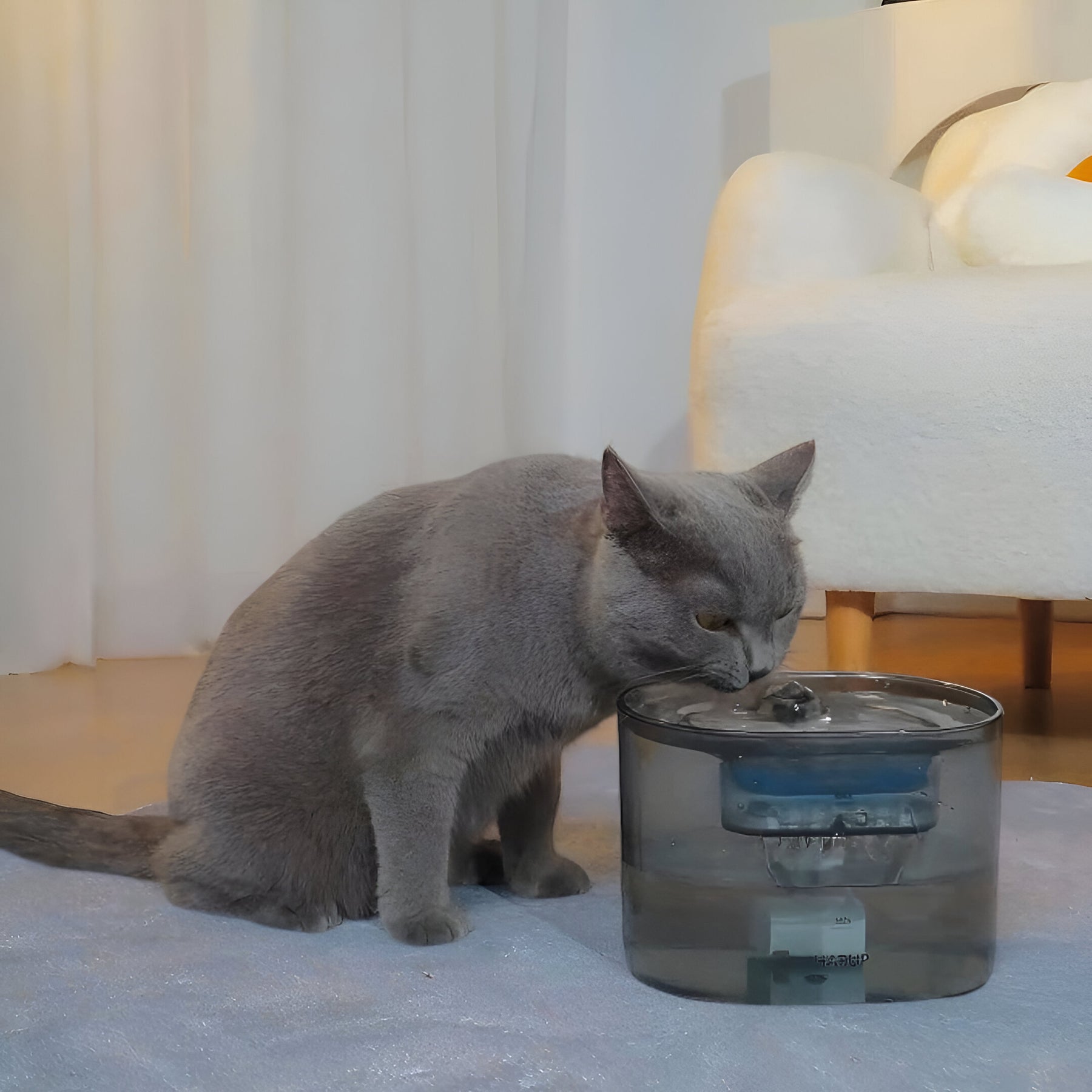 NEWPET™ Bebedouro Elétrico Para Cães e Gatos