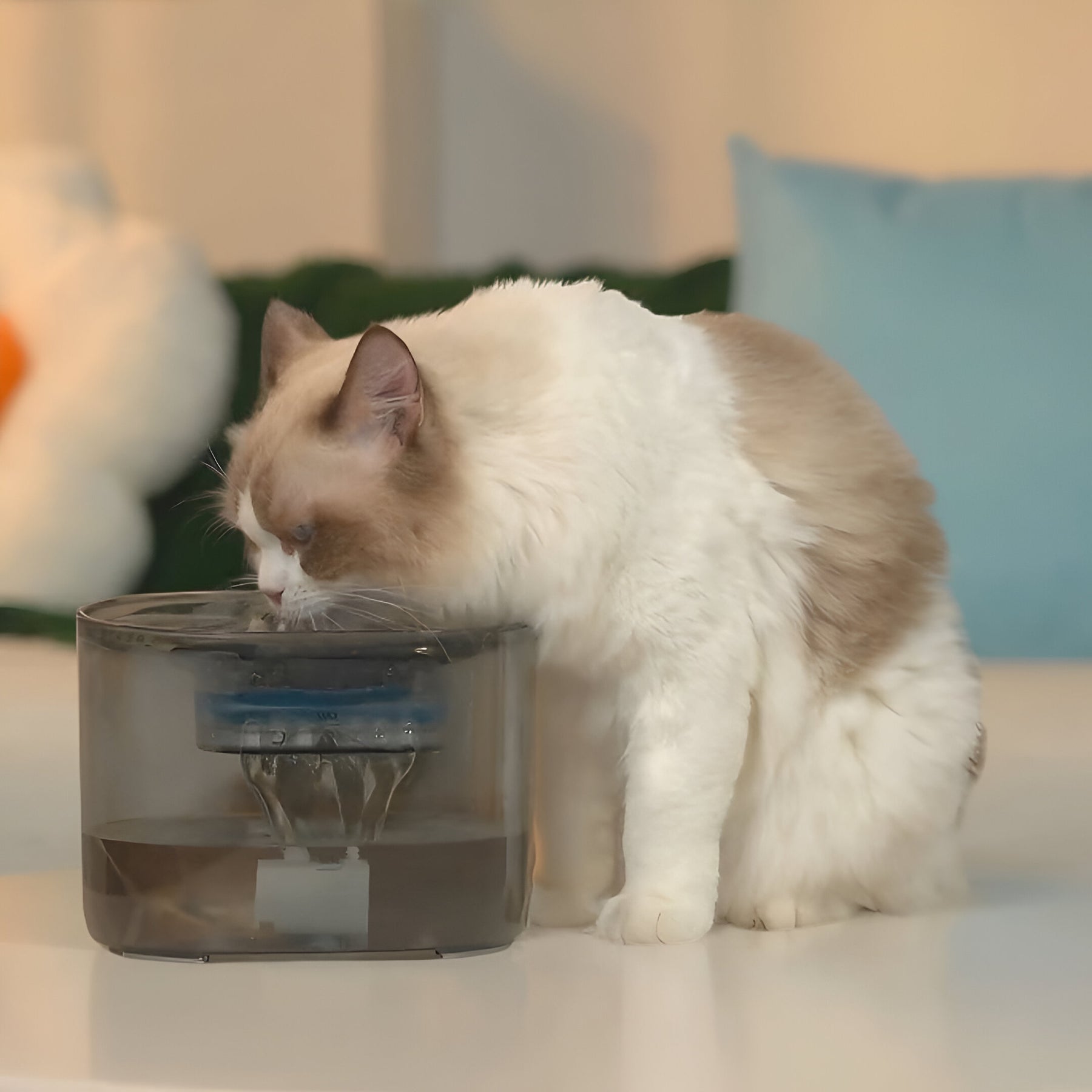 NEWPET™ Bebedouro Elétrico Para Cães e Gatos