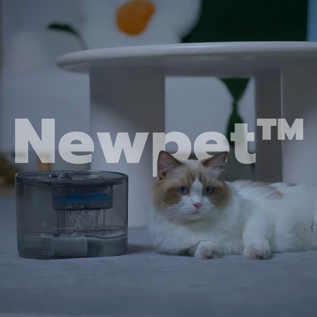 NEWPET™ Bebedouro Elétrico Para Cães e Gatos